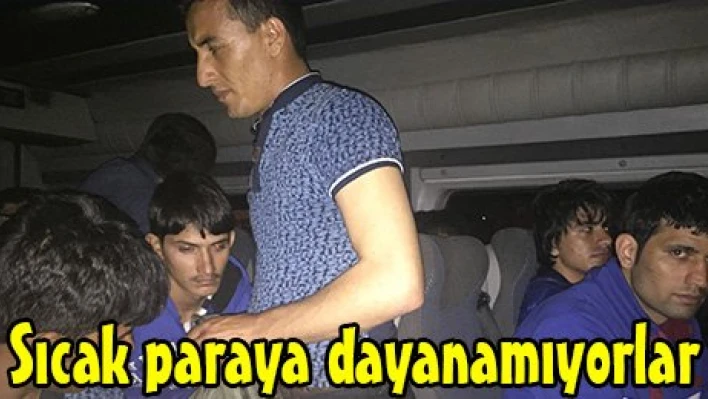 Sıcak paraya dayanamıyorlar