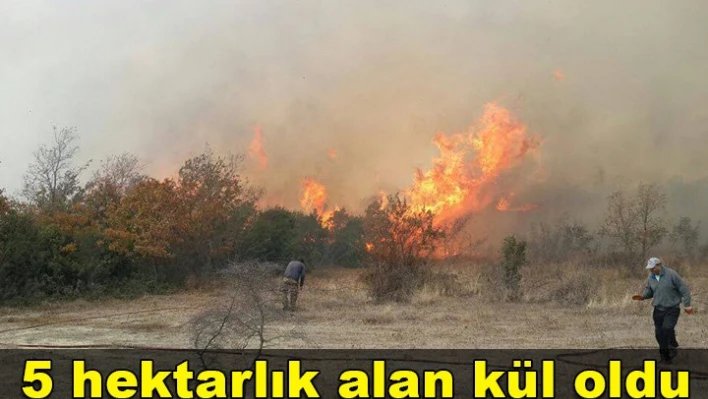 Ciğerlerimiz yandı