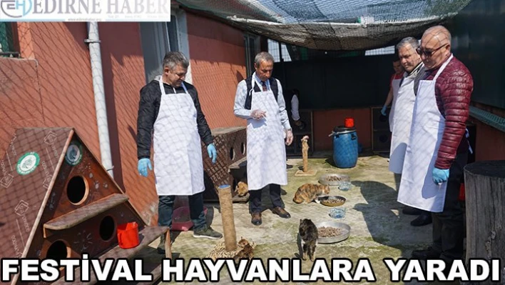Festival Hayvanlara yaradı