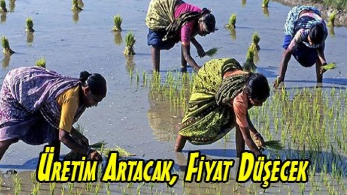 Üretim Artacak, Fiyat Düşecek