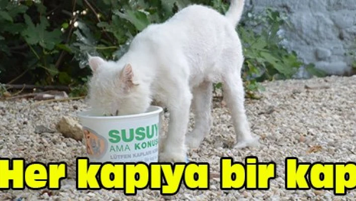 Her kapıya bir kap
