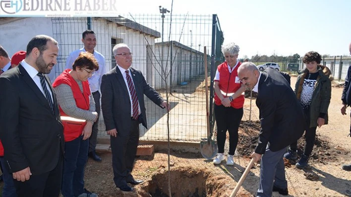 'Şenlendirme Projesi' kapsamında 250Â fidanÂ dikildi.Â 