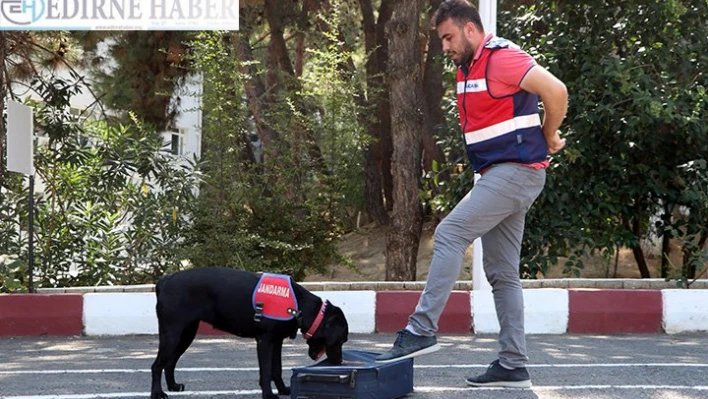 'Limit' uyuşturucu tacirlerine göz açtırmıyor