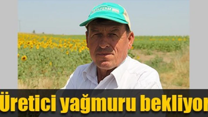 Yağmur bekliyorlar