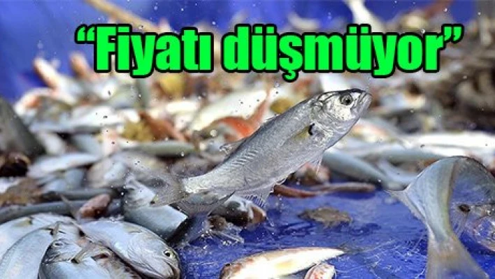 'Fiyatı düşmüyor'