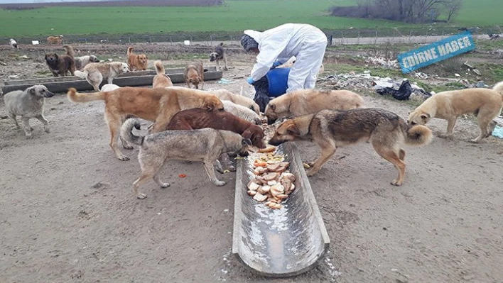 Hayvanları unutmuyorlar
