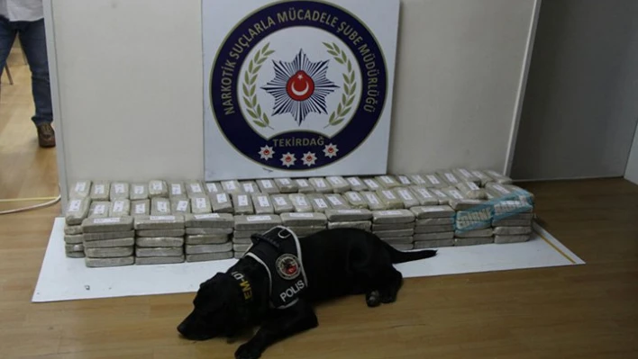 Tır dorsesinde neler çıktı?