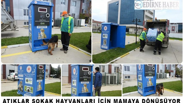 Atıklar Sokak Hayvanları İçin Mamaya Dönüşüyor