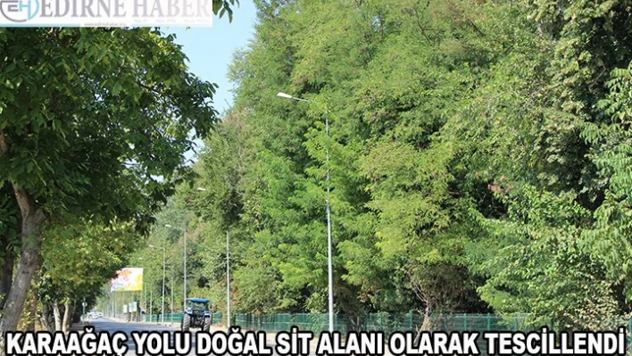Karaağaç yolu doğal sit alanı olarak tescillendi