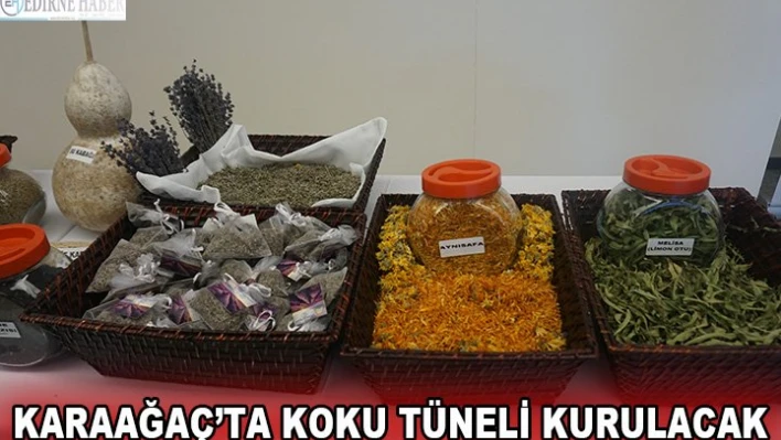 KARAAĞAÇ'TA KOKU TÜNELİ KURULACAK