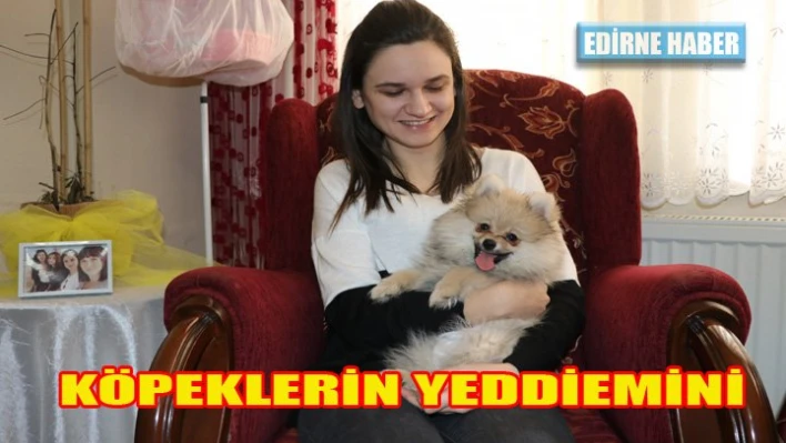 Üniversite öğrencisi, yavru köpeklere 'yediemin' oldu