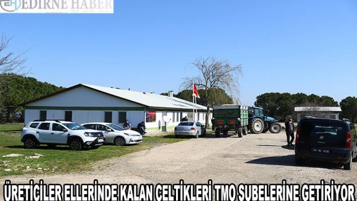 Edirne'de üreticiler, ellerinde kalan çeltikleri TMO'ya getirmeye başladı