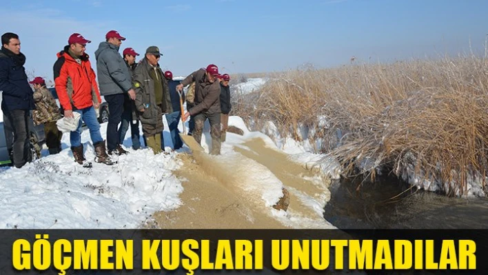 Göçmen Kuşlara 2 ton yem