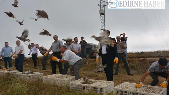 Bin keklik doğaya bırakıldı
