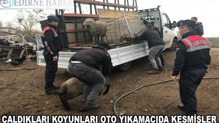 Çaldıkları koyunları oto yıkamacıda kesmişler
