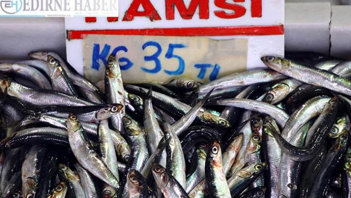 Tekirdağlılar fiyatı yükselmesine rağmen hamsiden vazgeçmiyor