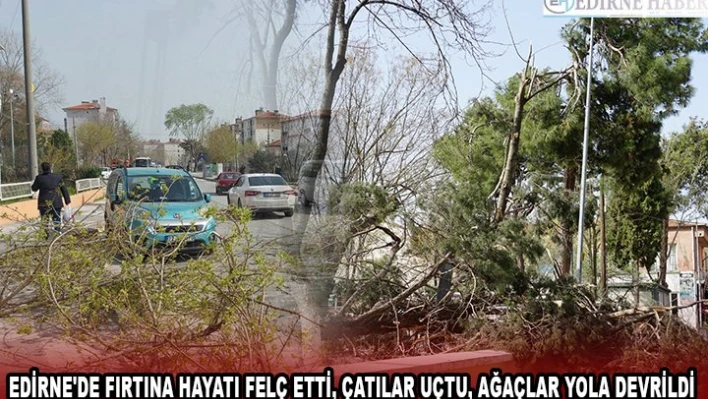 EDİRNE'DE FIRTINA HAYATI FELÇ ETTİ, ÇATILAR UÇTU, AĞAÇLAR YOLA DEVRİLDİ