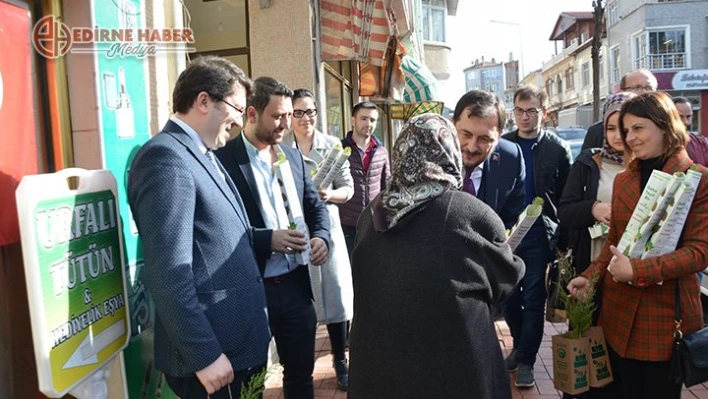 400 fıstık çamı fidanı dağıtıldı