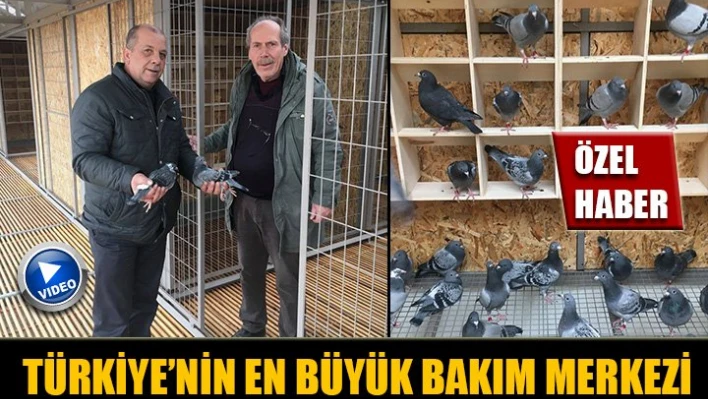 Türkiye'de Tek, Dünyada üçüncü