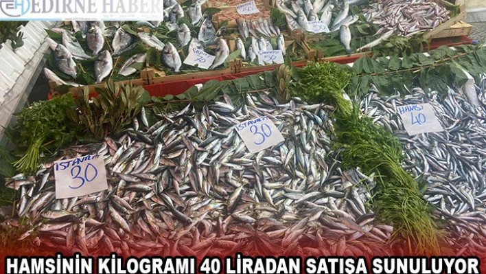 Edirne'de hamsinin kilogramı 40 liradan satışa sunuluyor