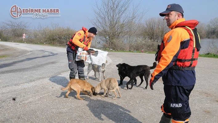 Köpekler unutulmadı