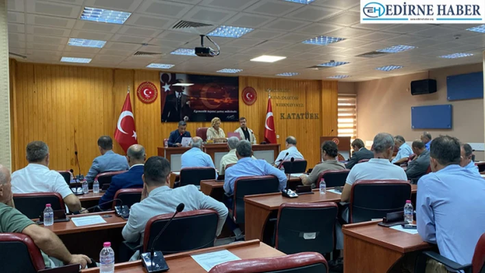 İl Genel Meclisi, tarihi konak restorasyonu ve liman onarımına bütçe ayırdı