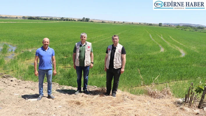 İl Tarım ve Orman Müdürü Bayazıt tarım alanlarında incelemede bulundu