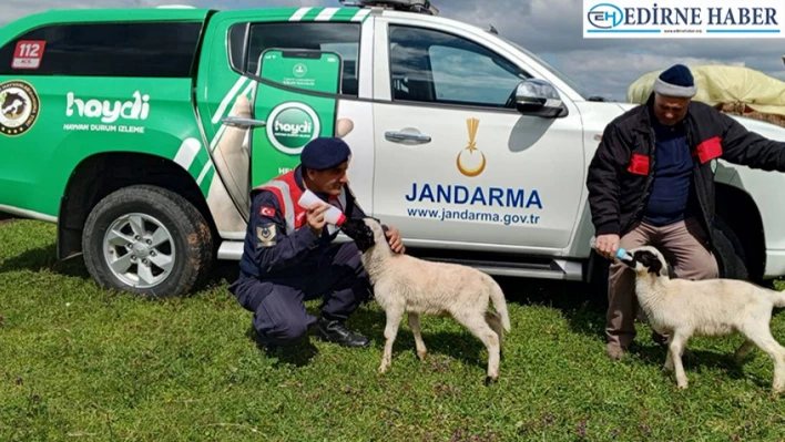 Jandarma'dan 'dikkatli ilaçlama' eğitimi