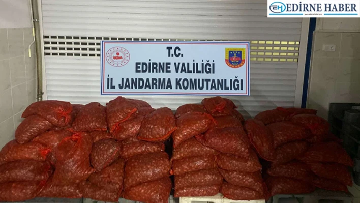 Jandarma ekipleri 1 ton 662 kilo kum midyesi ele geçirildi