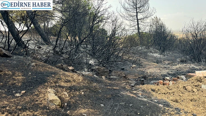 Keşan'da çıkan orman yangın söndürüldü