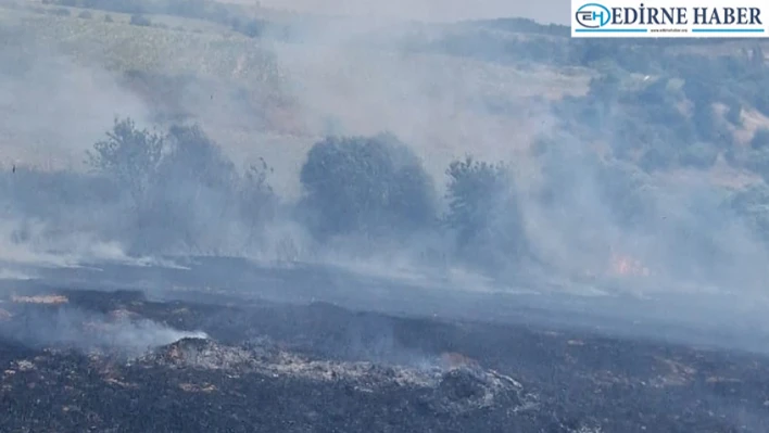 Keşan'da çıkan yangında 2 dönüm tarla zarar gördü