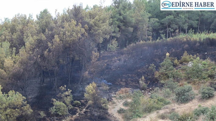 Keşan'daki Orman Yangını Hızlı Müdahale İle Büyümeden Söndürüldü