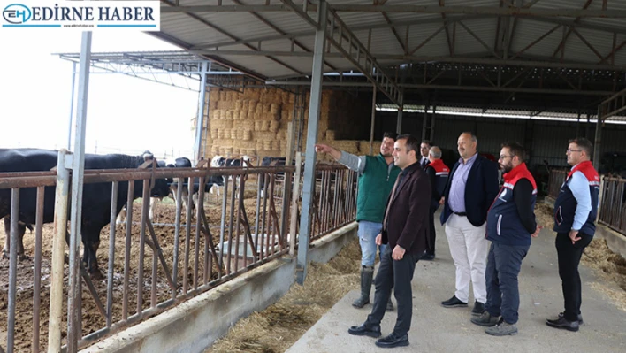 Köse, Lalapaşa'daki hayvancılık işletmesini ziyaret etti