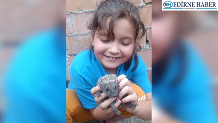 Küçük kız ile kirpi yavrusunun dostluğu yürekleri ısıttı