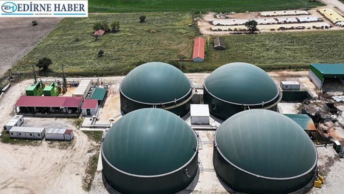Kumdere köyünde kurulan tesiste bitkisel ve hayvansal atıklar elektriğe dönüşüyor