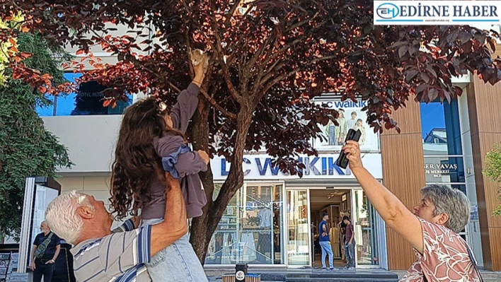 Minik Derin'in hayvan sevgisi yürekleri ısıttı