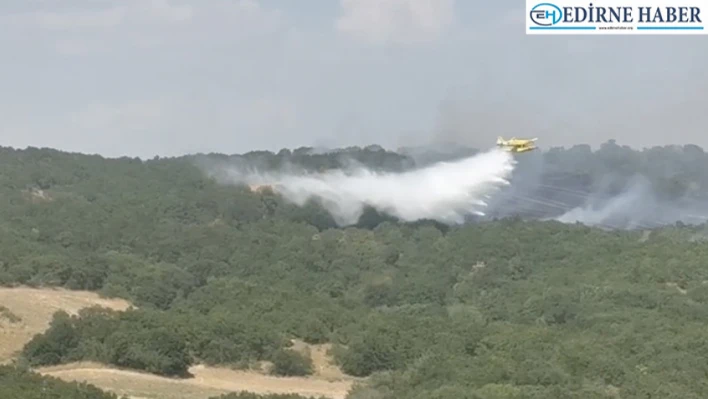 Orman yangınına ilişkin gözaltına alınan zanlı adli kontrolle serbest