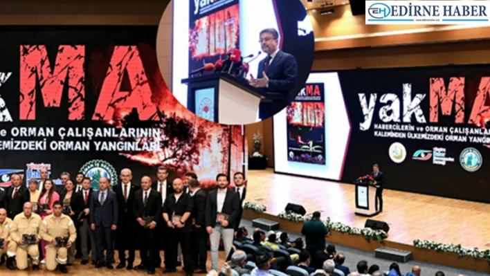 'Orman yangınlarının yüzde 84'ü insan kaynaklı'