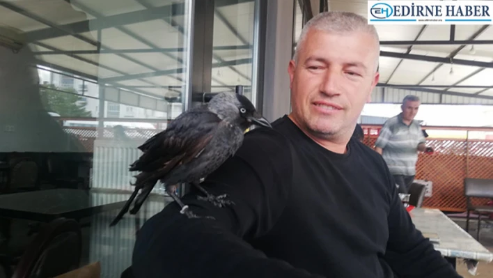 Otogarın maskotu 'Çarli'