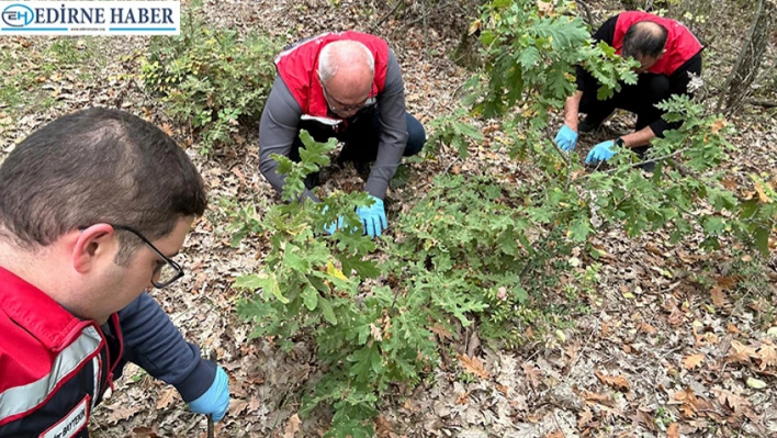 Tarım il müdürlüğü ekiplerinden verim kaybına karşı erken önlem