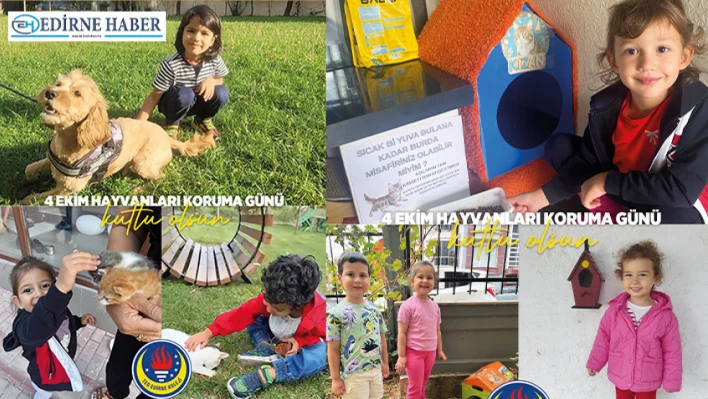 TED Edirne Koleji'nden sokak hayvanlarına destek