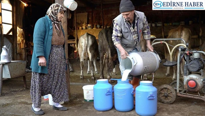 Ticari süt işletmelerince toplanan süt miktarı bir önceki yıla göre arttı