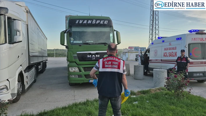 Tır sürücüsü aracında ölü bulundu