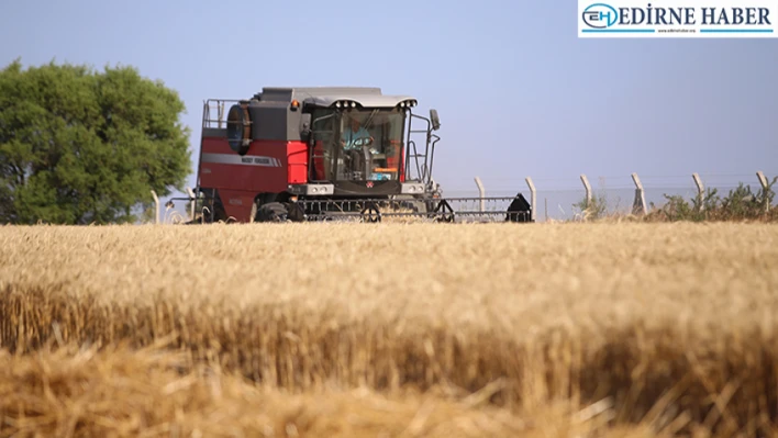 Trakya'da buğday hasadı devam ediyor