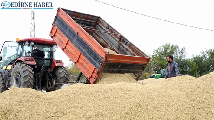 Trakya'da çeltik mesaisi tamamlandı