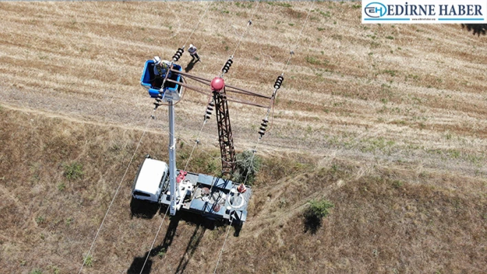 Trakya'da elektrik telleri şah kartalları için izole ediliyor