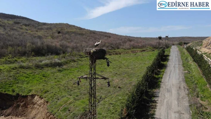 Trakya'da leylek yuvalarının bahar bakımı termal kameralı dronla yapılıyor