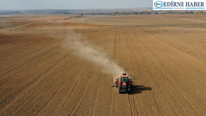 Trakya'da üreticiler, kuraklık nedeniyle bu yıl da buğday tohumlarını kuru toprağa ekecek