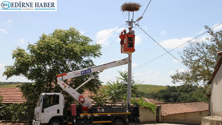 TREDAŞ, leyleklerin baharda güvenli dönüşü için kolları sıvadı