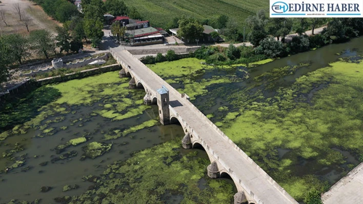 Tunca Nehri'nin debisi düştü Biriken çöpler kirlilik oluşturdu